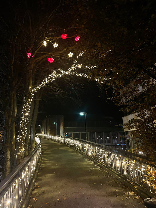 How to Connect Outdoor LED Christmas Lights - Santa's Light Shop